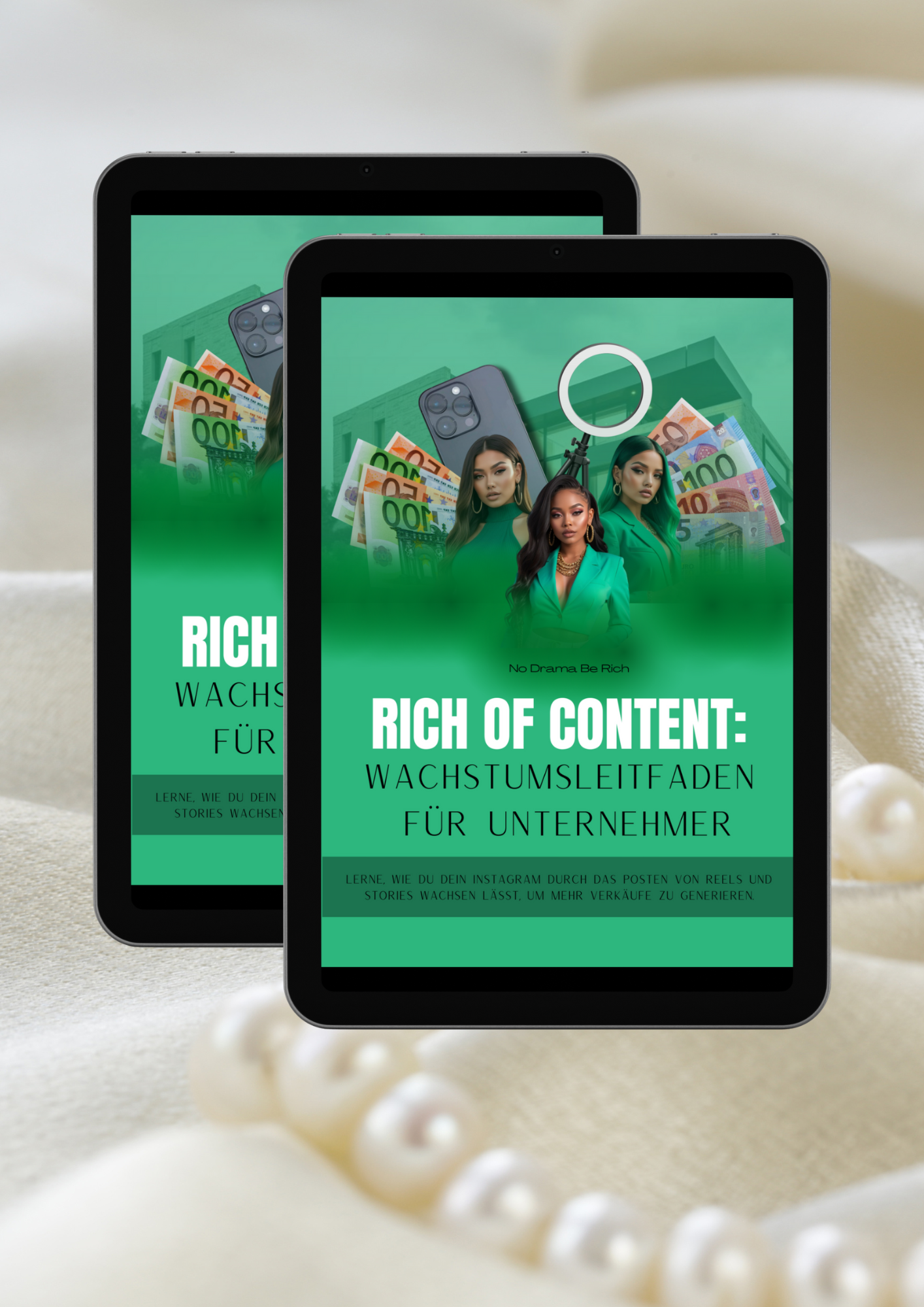 RICH OF CONTENT: WACHSTUMSLEITFADEN FÜR UNTERNEHMER MIT PLR UND MRR